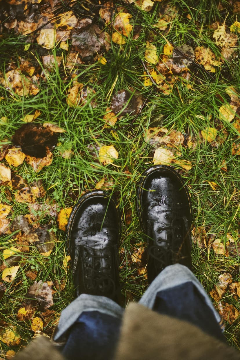 Boots collection